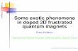 Some exotic phenomena - hvar05.ifs.hrhvar05.ifs.hr/conference/slides/Poilblanc.pdf · a y1 Some exotic phenomena in doped 2D frustrated quantum magnets Didier Poilblanc Laboratoire