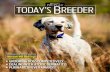 TODAY’S BREEDER - Purina® Pro Club...2| ISSUE 92 Introduced in 2000, the Purina Pro PlanChampions Cuppromotes excellence in the sport of purebred dogs through conformation dog shows.