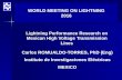 WORLD MEETING ON LIGHTNING 2016 Lightning Performance ... · 4] Anderson J. G. "Monte Carlo Computer Calculation of Transmission-Line Lightning Performance". AIEE Trans. Vol. 80,
