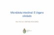 Microbiota intestinal: El órgano olvidado - racve.esracve.es/files/2020/03/2020-03-02-PRESENTACION-DR.-SANTIAGO-VEGA.pdf · Microbiota intestinal: El órgano olvidado De la microbiota