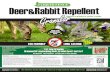 Deer Rabbit Repellent - Planet Natural€¦ · Apply Liquid Fence ® Deer & Rabbit Repellent Granular evenly on and around low-growing ornamental landscaping beds, ... Apply 1 pound