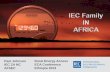 Paul Johnson Rural Energy Access ECA Conference · 12 1. IEC 60099: Surge arresters (TC 37) 2. IEC 62561: Lightning protection system components (LPSC) (TC 81) 3. IEC 62053: Electricity