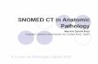 SNOMED CT in Pathology - conganat.org · EHR – Pathology IS Electronic request Pathology Study (specimens, anatomy) Pathology report available in EHR (diagnosis, clinical problems,