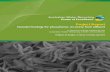 Nanotechnology for phosphorus recovery from effluentvuir.vu.edu.au/32063/1/Nanotech+for+P+Recovery_web.pdf · 2016-11-14 · The AWRCE Nanotechnology for Phosphorus recovery from