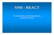 SNB - REACT - UNECE · Picasaweb sBazar Speurders TaoBao Tradera Tweedehands XQL. Monitor, Administrate, Remove and Report Connected to a number of Internet auction sites (Ebay, ...