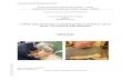 L’effetto della pet therapy sui pazienti geriatrici ...tesi.supsi.ch/1767/1/Lucchini Michela.pdf · 5 Michela Lucchini Tesi di Bachelor 2016/2017 /58 2. BACKGROUND 2.1. La Pet therapy