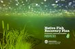 Native Fish Recovery Plan€¦ · Native Fish Recovery Plan - Gunbower and lower Loddon Prospectus. 9 7 6 4 5 3 1 2 7 S c o t t s C r e e k eir eir eir eir eir eir or or e eir eir