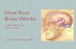 How Your Brain Works - Psychology Today · How Your Brain Works ... Your brain can “learn” behaviors that are not really good for your survival. ... mammals began evolving brain