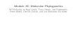 Module 19: Molecular Phylogenetics - phylo.bio.ku.eduphylo.bio.ku.edu/slides/sisg2016/2016_SISG_19_1.pdf · Module 19: Molecular Phylogenetics MTH thanks to Paul Lewis, Tracy Heath,