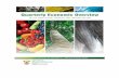 Quarterly Economic Overview of the Agriculture, Forestry and Fisheries ... and Economic... · Quarterly Economic Overview of the Agriculture, Forestry and Fisheries sector:Second