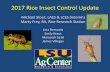2017 Rice Insect Control Update - laca1.org...Insect pest management in 2017 •Prepare for the established pests-- Have a plan for managing rice water weevils-- Scout for rice stink