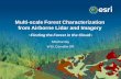 Multi-scale Forest Characterization from Airborne Lidar ... · Forestry Analysis Workflow . Lidar classification and treatment . Surface modeling (bare earth, canopy) Stem identification