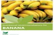 BANANA - Haifa Group crop g… · The Cavendish group includes 'Williams', 'Valery', 'Hamakua', 'Grand Nain', and 'Chinese' varieties. The Brazilian bananas are often, incorrectly,