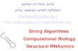 String Algorithms Computational Biology Structural …tabio152/wiki.files/NCRNA_bio...String Algorithms Computational Biology Structural RNAomics Outline • RNA and its structure.
