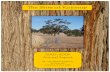 The Shire of Kojonup · The Shire of Kojonup . 2 Table of Contents ... Kojonup Farmer Judith Adams became a Senator for WA. Judith was ... was met. This was of primary importance