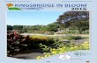 2016 - Kingsbridge in Bloom · Kingsbridge in loom 2016 ... Wheelbarrow event, the ubs, eavers and rownies, the children [s sunflower growing competition and grandchildren helping