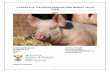 PORK MARKET VALUE CHAIN PROFILE - Department of Agriculture… Public… · Pork is one of the smallest industries in terms of overall South African agricultural sector. It contributes