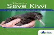 How to Save Kiwi - Kiwis for kiwi...DVD that make up the “How to Save Kiwi” kit. Many community-led projects receive ﬁ nancial support from the Trust. The main cause of declining