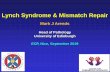 Lynch Syndrome & Mismatch Repaircpo-media.net/ECP/2019/Congress-Presentations/1310... · BAX MLH1 Prom Meth Defective DNA Mismatch Repair Microsatellite Instability (15%) Serrated