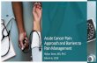 Acute Cancer Pain: Approach and Barriers to Pain Management€¦ · Comfort Level of Nursing Staff • Play an important role in provision of pain control • Barriers related to