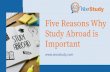 Five Reasons Why Study Abroad is Important-woostudy.com