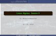 Linear Algebra. Session 9 - Texas A&M Universityroquesol/Math_304_Fall_2019_Session_9.pdf · Session 9. Abstract Linear Algebra I Singular Value Decomposition (SVD) Complex Eigenvalues