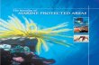MARINE PROTECTED AREAS - Parks Australia...productivity, biological diversity and the ecosystems of marine ecosystems. The consequences of this failure are serious and far-reaching.