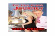 The 13th Power JourneyThe 13th Power Journey Copyright © by Terry Wright 2016