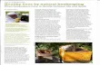 Practical Beekeeping - Healthy bees by natural beekeepingbeesfordevelopment.org/media/...natural-beekeeping.pdf · Practical Beekeeping - Healthy bees by natural beekeeping ... 'naturally'