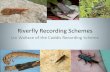 Riverfly Recording Schemes...Trichoptera (Caddisflies) Plecoptera (Stoneflies) Ephemeroptera (Mayflies) Affiliated to: Stoneflies (Craig Macadam) •On NBN up to 2005 •71,000 entries
