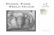 Field Guide - The Olander Park System · This field guide is an introduction to the geology of Fossil Park and surrounding ... North America and Europe sat together near the equator,