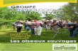 GROUPE ORNITHOLOGIQUE DES DEUX-SEVRESfiles.biolovision.net/ · 4 Le Groupe Ornithologique des Deux-Sèvres compte au 31 décembre 2015, 326 adhérents répartis dans 15 départements,