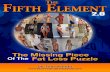 The Fifth Element 2 - Bodybuildingtruebody.weebly.com/uploads/8/9/6/7/8967398/the-5th-element-2.0.pdf · fifth element is an ABSOLUTELY VITAL KEY TO SUCCESS. At 41 and obese for 25