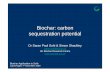 Biochar: carbon sequestration potential€¦ · Talk outline • Introduction – Carbon storage and land-based options – Efficacy of carbon storage in soil organic matter • Biochar