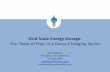 The State of Play in a Game -Changing Sector Storage... · The State of Play in a Game-Changing Sector Jason Makansi President, Pearl Street Inc 314.495.4545 ... positioning, economic
