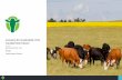 Assessing the Sustainability of the Canadian Beef Industry 2016... · Sustainability Assessment There were three main sections to the National Beef Sustainability Assessment Social