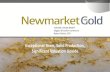TSX:NMI, OTCQX:NMKTF Diggers & Dealers Conference Robert ... · TSX:NMI 6 July 2015 - Year One - July 2016 Newmarket Gold –Success to Date Merger of Newmarket Gold Inc. and Crocodile