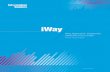 iWay Application Adapter for Salesforce User's Guide1 Introducing the iWay Application Adapter for Salesforce Provides an overview of the iWay Application Adapter for Salesforce. Describes