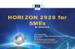 HORIZON 2020 for SMEs H2020_SMESupport_Overview_JDM... · • SME instrument accompanied by coaching with a minimum of 7% budget allocation from LEITs and societal challenges –