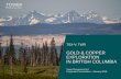 GOLD & COPPER EXPLORATION IN BRITISH COLUMBIA · - Former CEO, Stonegate Agricom - 22 years experience in mine operations and investment banking CHRISTOPHER LESLIE P. Geo. | Advisor