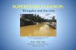SUPERFUND CLEANUP - Sturm College of Law...SUPERFUND CLEANUP: Struggles and Success Prof. Cliff Villa University of New Mexico School of Law Animas River at Bakers Bridge: Aug. 8,