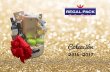 Catalogo Navidad 2016 - regalpack.files.wordpress.com€¦ · Ref. 8501-838 M: 30x18x15 cm G: 35x23x18 cm Ref. 8162-106-110 34x21x30 cm Ref. 8454-160-110 33x26x20.5 cm Ref. 7138-106-110
