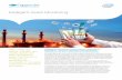 Intelligent Asset Monitoring - Capgemini€¦ · Intelligent Asset Monitoring Intelligence across the asset network is the key to innovation, customer centricity, and operational