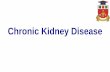 Chronic Kydney Disease - reumatologie.usmf.md · Chronic Kidney Disease (Chronic Renal Failure) •Definitions Kidney damage for ≥ 3 months, as defined by structural or functional