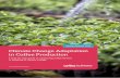 Climate Change Adaptation in Coffee Production · 2015-03-11 · Climate Change Adaptation in Coffee Production 3 Climate change is putting coffee production and the livelihoods of