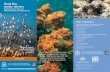 Shark Bay marine reserves...Shark Bay’s marine reserves are part of a network of marine protected areas along the coast of Western Australia. This network ... marine wildlife. Kayaking,