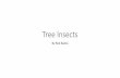 Tree Insects - Extension€¦ · • prefer oak trees, but may feed on many species of trees and shrubs, both hardwood and conifer. • Larvae can be distinguished from other species