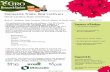 Poinsettia Trials: Red Cultivarse-gro.org/pdf/resources/2020_01.pdf · Dummen Golden Glo Specialty 32 2 12 16-Oct 24-Nov 29.2 37.3 Dummen Green Envy 2019 Specialty 32 2 12 17-Oct