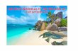 SHE SELLS SEASHELLS BY THE SEASHORE OF THE SEYCHELLES · SHE SELLS SEASHELLS BY THE SEASHORE OF THE SEYCHELLES. Welcome to the Seychelles! An archipelago of 115 islands, most of them