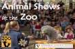 Animal Shows at the Zoo - Vanderbilt University · Animal Shows at the Zoo ... At the zoo, I might go see an animal show. Animal shows take ... be music playing while we wait for